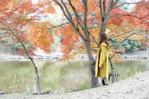 奈良公園　浮見堂　紅葉
